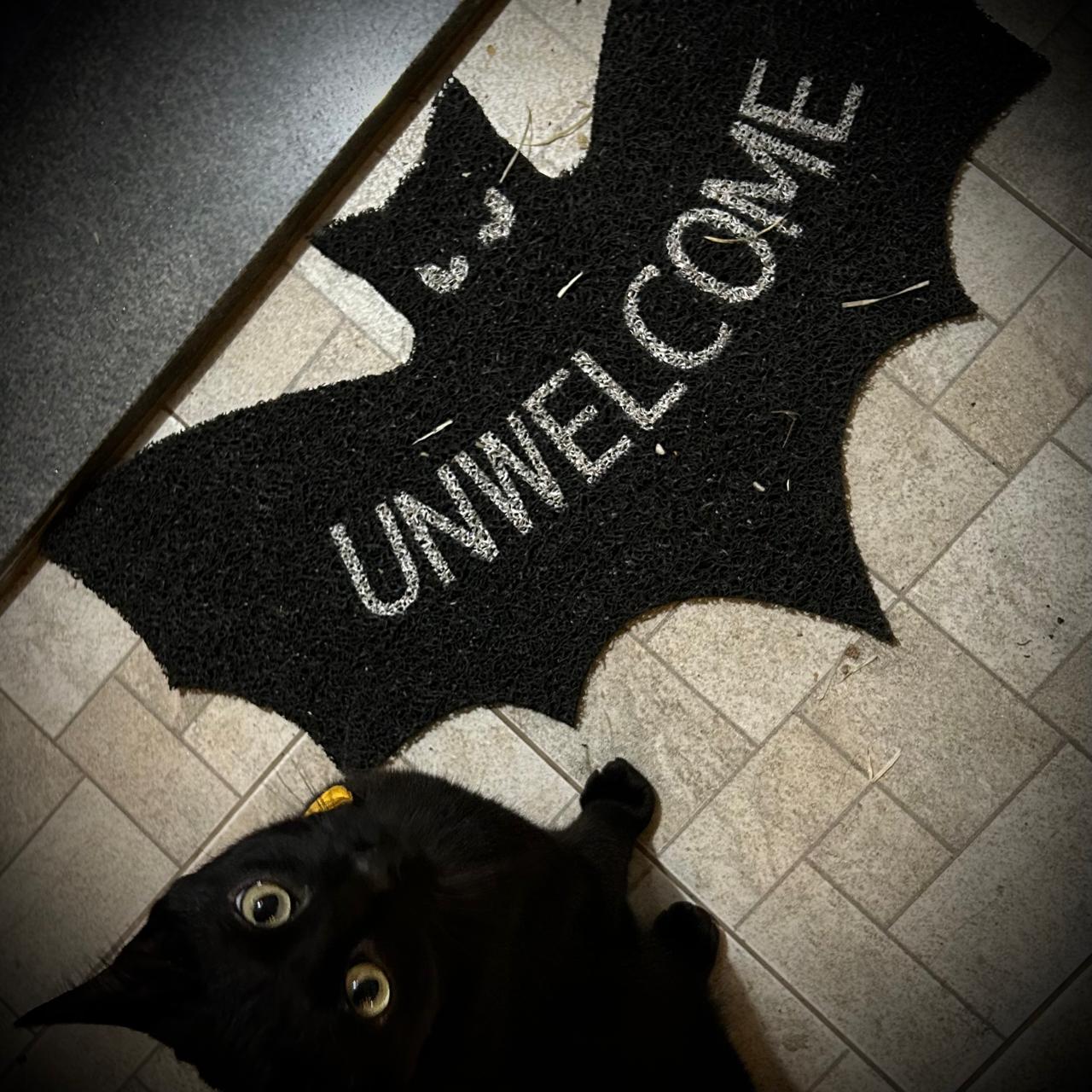 🦇👻Unwelcome Shaped Bat Coir Doormat